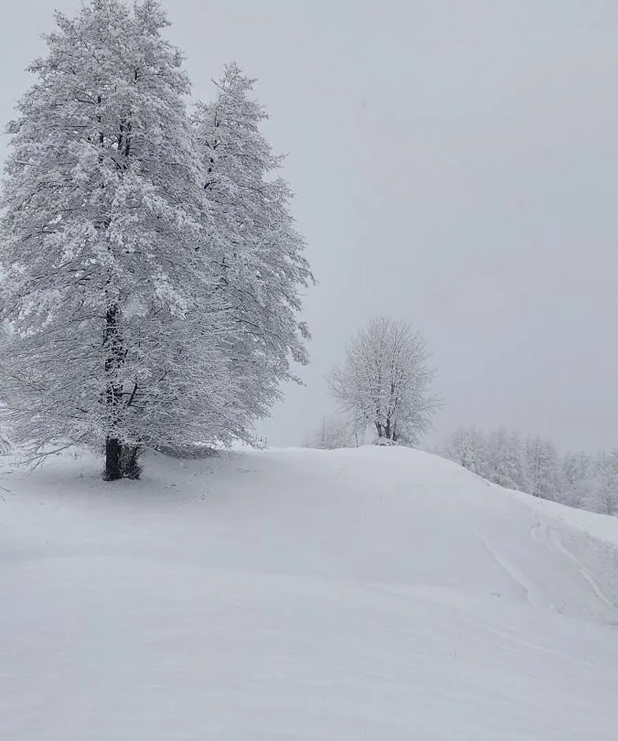 Guest House Kukes 0*,  Arnavutluk